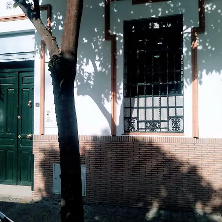 Wish Barrio De Leon En Triana *