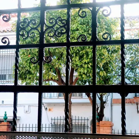 Wish Barrio De Leon En Triana *