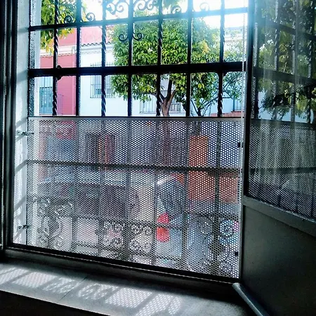 Wish Barrio De Leon En Triana *